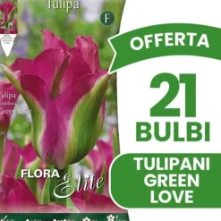 Clearance ERBJUDANDE 21 TULPANBULB TULIPAN VIRIDIFLORA GREEN LOVE BULLAR Fröer & Lökar