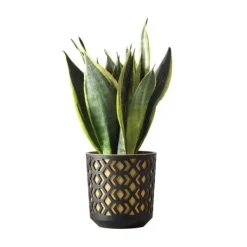 Hot Etnisk blomkruka svart och guld 19xh20 cm Krukor & Växtbehållare
