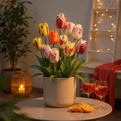 Exotisk hjärta blomknölar - Tulpaner Tulipa Flaming Beauty Mix (15 stycken) diameter 11-12cm
