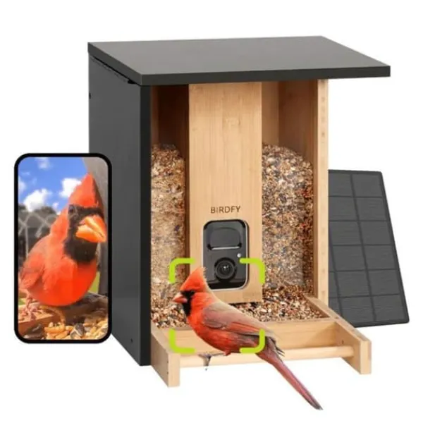 Fågelmatare - Birdfy Bamboo - HD WiFi Kamera - Solenergi - AI Artighetsigenkänning