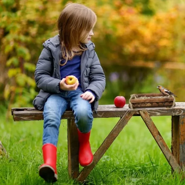 Fågelmatare, 25x25x6,5 cm, Brun