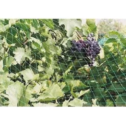 Sale Fågelskyddsnät - 6x4 m För Fåglar & Småvilt