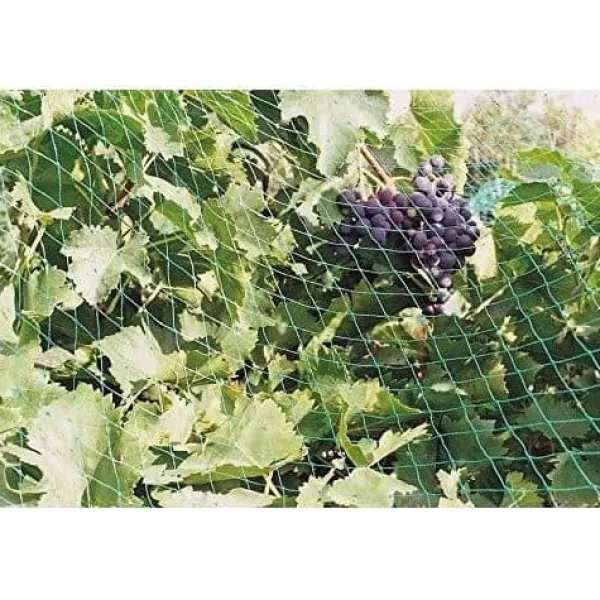 Sale Fågelskyddsnät - 6x4 m För Fåglar & Småvilt