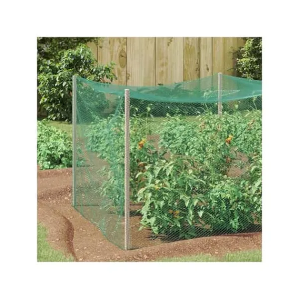 vidaXL Fågelsskyddsnät - - 2x25 m - Polyeten - Grön - Inomhus- och utomhusbruk