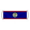 Clearance Flagga - Flerfärgad - Belize - 17 x 50 cm - Polyester - Vattentät - Fram/bak Flaggor & Vindstrutar