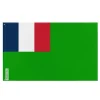 Outlet Flagga - Irland Regeringens Oberoende - 96 x 144 cm - Polyester - Tryck på framsidan/baksidan - Metal öglor Flaggor & Vindstrutar