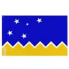 Clearance Flagga - Mångfärgad - Chilenska antarktiska territoriet - 160 x 240 cm - Polyester - Framsidan/baksidan Flaggor & Vindstrutar