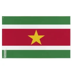 Flagga - Surinam - 64 x 96 cm - Polyester - Tryck fram/bak - Järnöglor