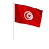 Discount Flagga - Tunisien - 14 x 21 cm - Hållbar polyester - Lätt - Tryck fram/bak Flaggor & Vindstrutar