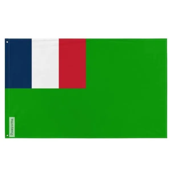 Flagga för den 1:a oberoende republiken Guyana 64 x 96 cm