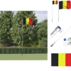 Flaggor & vindstrutar - Living Belgiens flagga och flaggstång 5,55 m aluminium