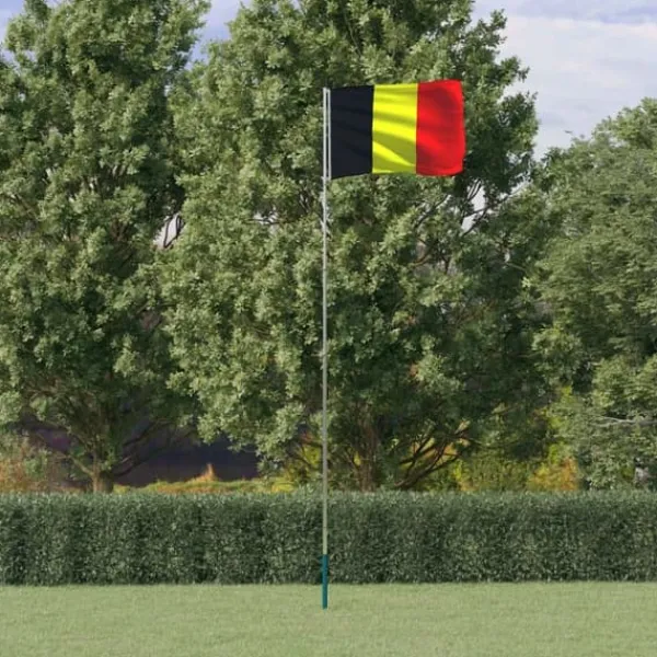 Flaggor & vindstrutar - Living Belgiens flagga och flaggstång 5,55 m aluminium