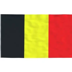 Flaggor & vindstrutar - Living Belgiens flagga och flaggstång 5,55 m aluminium