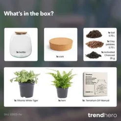 Best Flaska trädgård "Petite Emma" - DIY terrarium för växter - höjd 20cm - med Fittonia White Tiger Kit För Växt- & Örtplantering