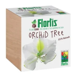 FLORTIS PLANTCUBE ORKIDETRÄD 7,5X7,5X7,5 CM GIARDINAGGIO PIANTE FIORI Kit För Växt- & Örtplantering