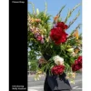 Outlet Flower Drop | Molly Haslund | Språk: Engelska Snittblommor