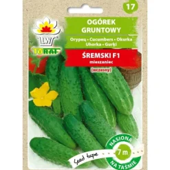 New Fältgurka ŚREMSKI F1 (7m band) Fröer & Lökar