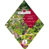 Frö - Royalfleur frö - PFRK21442 - Blomblandning för Min Stenparti Purple Chic 3 m