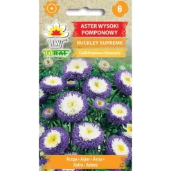 Hot Frö till aster Ruckley Supreme – Blå pomponblommor med vit-gult centrum Fröer & Lökar