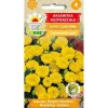 Frö till fransk ringblomma Gypsy Sunshine – Rikblommande med citronfärgade blommor