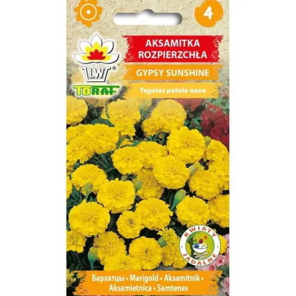Frö till fransk ringblomma Gypsy Sunshine – Rikblommande med citronfärgade blommor