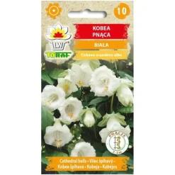 Frö till klockranka Alba – Snabbväxande klätterväxt med gräddvita blommor Fröer & Lökar