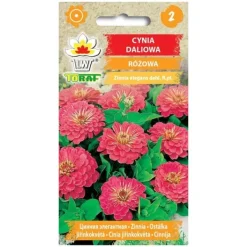 Outlet Frö till rosa dahlia-zinnia – Stora, fyllda blommor för rabatter och buketter Fröer & Lökar