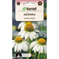 Online Frö till solhatt White Swan – Vitblommande perenn som lockar fjärilar Fröer & Lökar