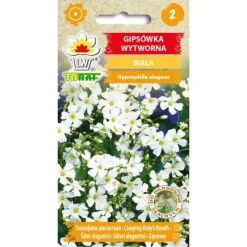 Discount Frö till vit sommarslöja – Lätt och luftig blomning för rabatter och buketter Fröer & Lökar