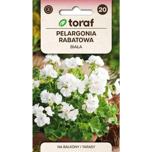 Frö till zonalpelargon vit – Praktfull blomning för krukor och rabatter