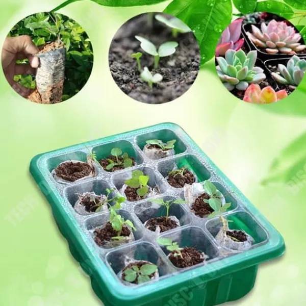 Fröbox - TECH DISCOUNT - 10 stycken - Ekologisk plast - Transparent lock - Lufthål Kit För Växt- & Örtplantering