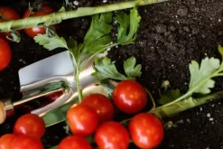 Online FÄRDIG BIOJORD FÖR GRÖNSAKER OCH TOMATER BIOVITA 50L MED GÖDSEL Jord & Sand