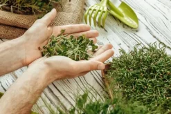 Färdigt Biovita örtjordssubstrat 10 l med gödselmedel Jord & Sand