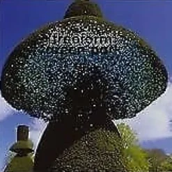 Sale Freeform : Green Park CD Pre-Owned Trädgårdsprydnader