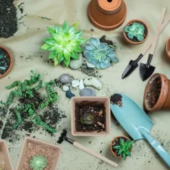 Best Frökrukeset, 5.5x6x6 cm, Brun Kit För Växt- & Örtplantering