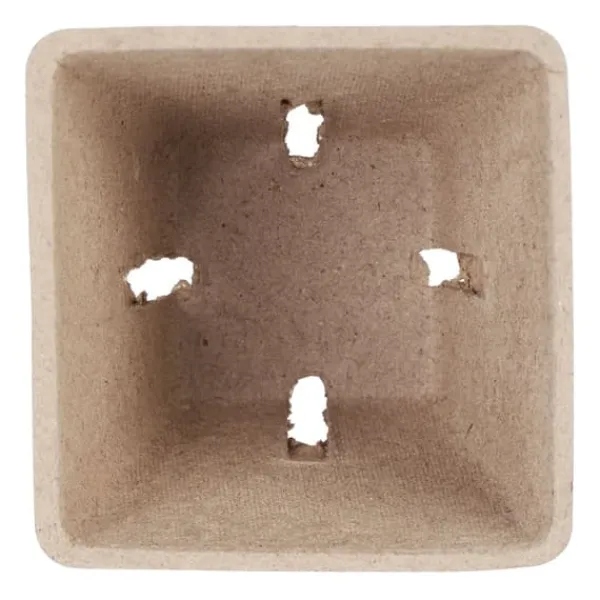 Best Frökrukeset, 5.5x6x6 cm, Brun Kit För Växt- & Örtplantering