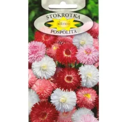Discount Frön - Daisy Fröer & Lökar