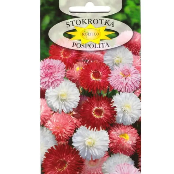 Discount Frön - Daisy Fröer & Lökar