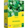 Frön BHS Dichondra