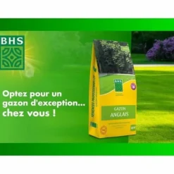 Sale Frön BHS Gazon Anglais 10 kg Fröer & Lökar