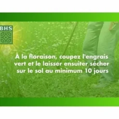 Outlet Frön BHS Trèfle Blanc 500 g Fröer & Lökar