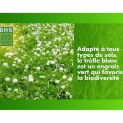 Outlet Frön BHS Trèfle Blanc 500 g Fröer & Lökar