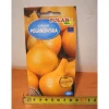 Best frön 5g POLANOWSKA LÖK PN3523 Fröer & Lökar