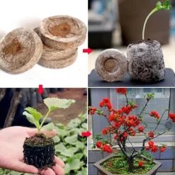 Fröstartare Jordpluggar Växtfiber Plantskola Block Torv Jordpellets