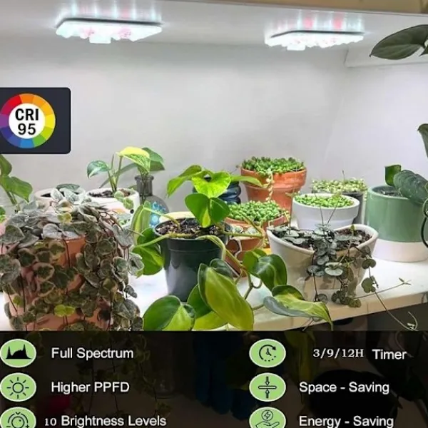 Online Fyrhuvuds LED Växtlampa Takmonterad med Timer & Dimbar Fullspektrum för Optimal Växttillväxt Kit För Växt- & Örtplantering