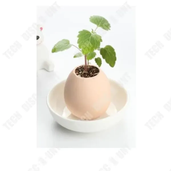 Ägg växter - TD - Miniatyrträdgård - ekologisk - Hantverk - Trädgårdsgåva