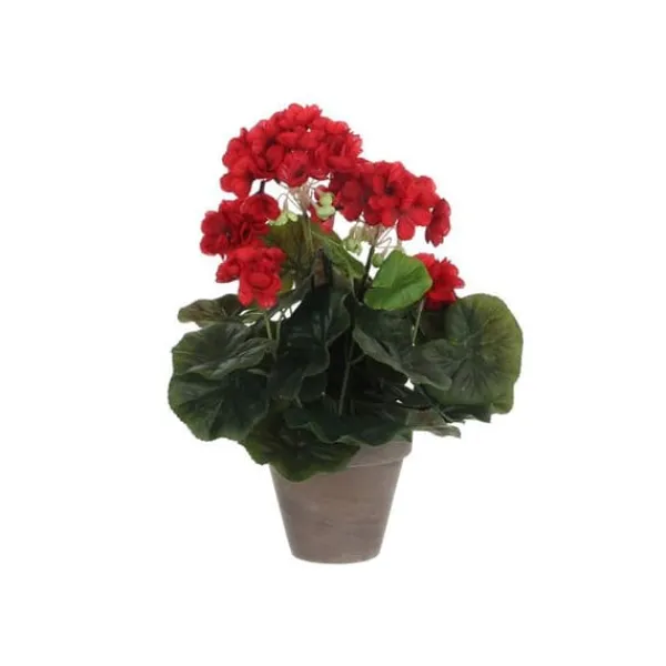 Online Géranium - MICA Dekorationer - 975161 - Stora röda blommor - Inomhus - Kök Krukväxter Inomhus