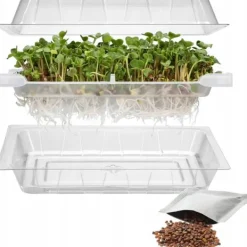Clearance Gröna groddar med Rädisafrön Kit För Växt- & Örtplantering