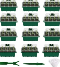Groddbricka, uppsättning med 12 groddbrickor med 12 odlingsbrickor för inomhusväxthus, propagateulåda för plantskolor inomhus