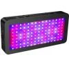 Grow Light Expert 1200w för växthus, odlingstält & hemmaodling